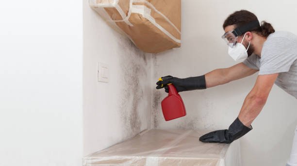 Professional Crawl Space Mold Remediation technician working in Cedarhurst, NY